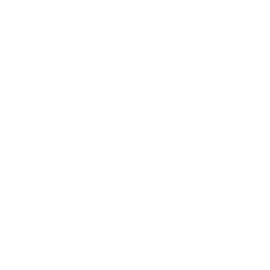 Brief Icon Transparent