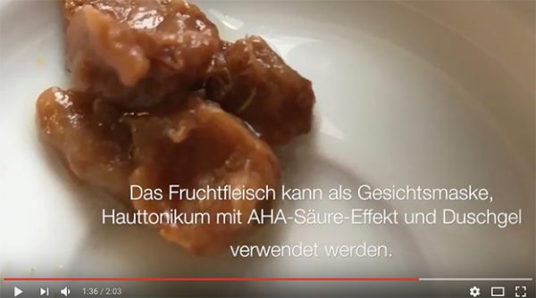 Tamarinde öffnen und als Hauttonikum nutzen